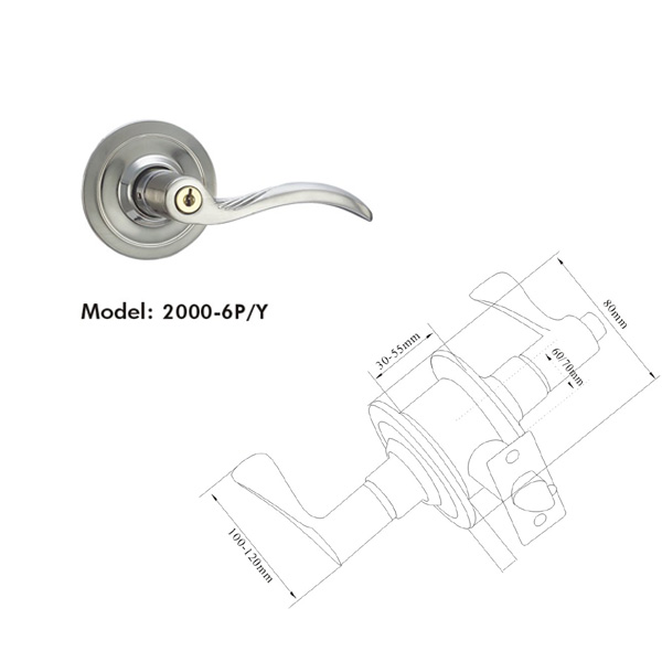 2000-6P/Y